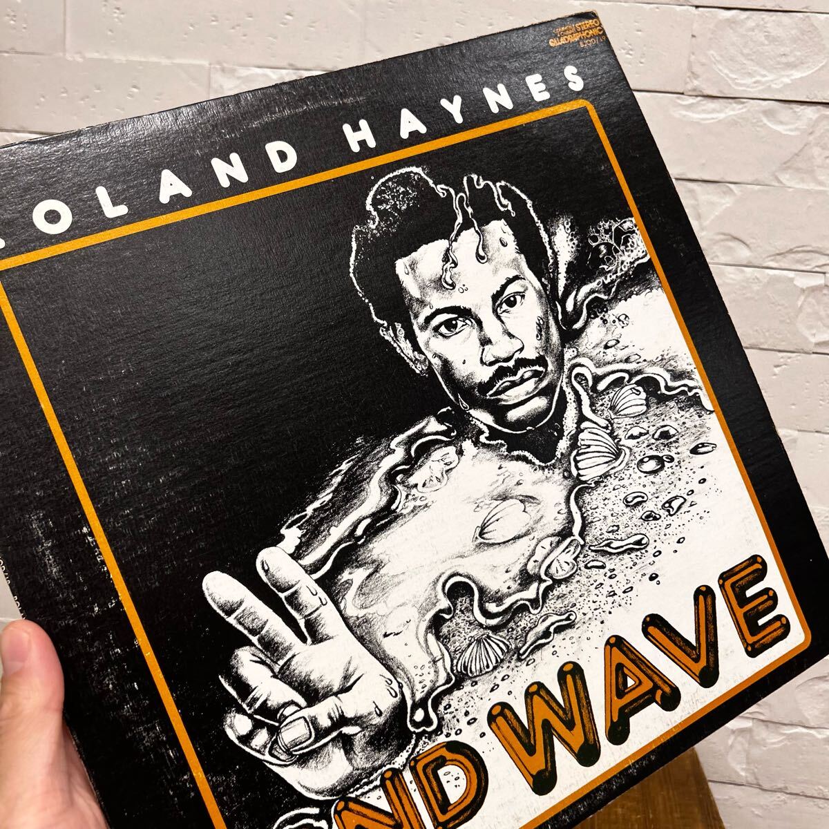 Roland Haynes - Second Wave (Vinyle Neuf) main image 0