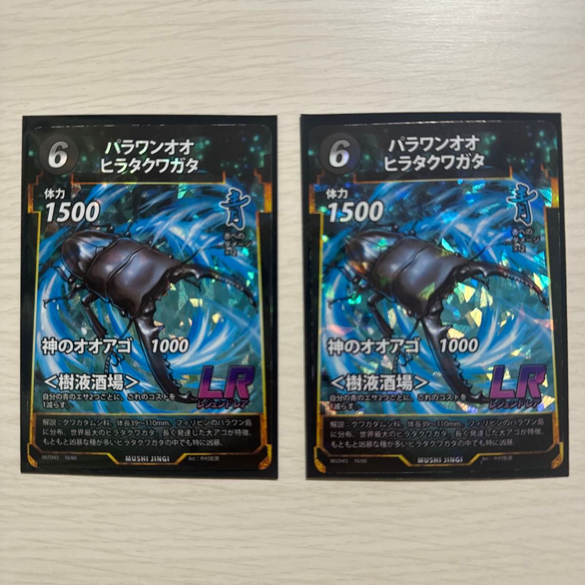 蟲神器 パラワンオオヒラタクワガタ 2枚 | Shop at JDirectItems