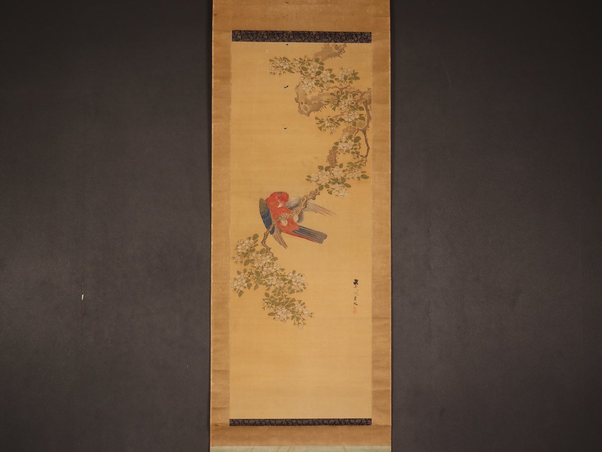 【模写】【伝来】am4357〈宋紫岡〉花鳥図 沈南蘋派 宋紫石の孫 江戸時代後期 中国画 /【Buyee】 Buyee - Japanese ...