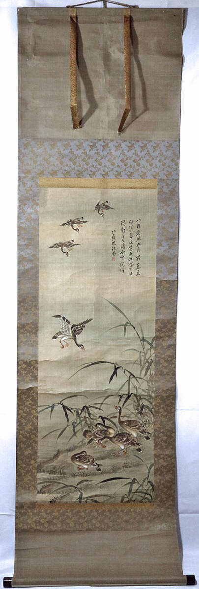 tsg33) 清代 沈瑞鳳 渭川(杭州人)「緑岸雁至 芦雁図」彩色 墨絵 墨画 絹本 掛軸 <清朝 中国絵画 古画 時代絵 /【Buyee ...
