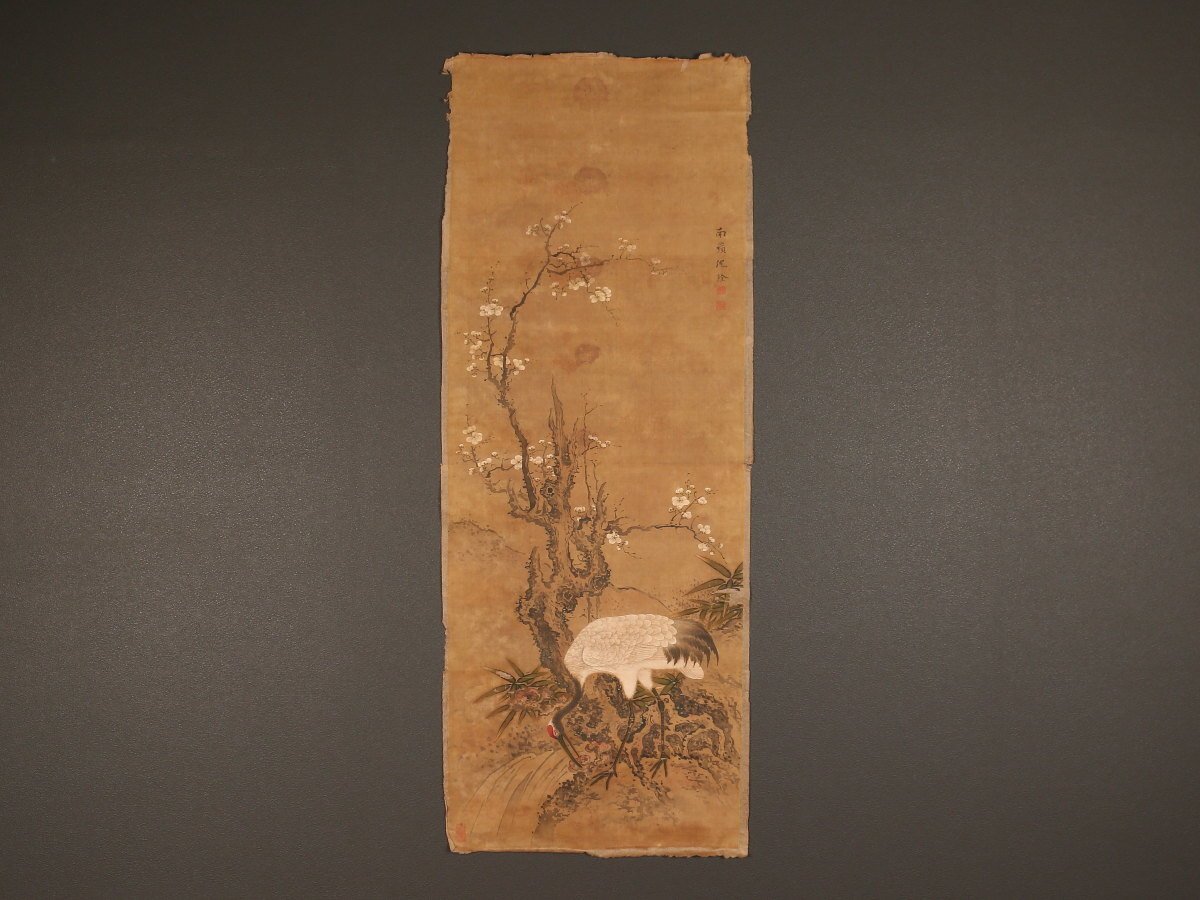 【模写】【伝来】am9586〈沈南蘋〉白梅孤鶴図 マクリ 中国画 清代 南蘋派の祖 沈銓 /【Buyee】 Buyee - Japanese ...