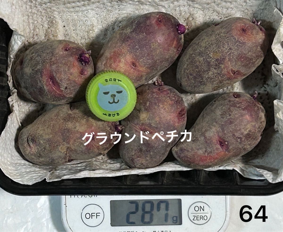 じゃがいも グラウンドペチカ6個 287g 小粒 秋じゃが 種芋に | Shop at 