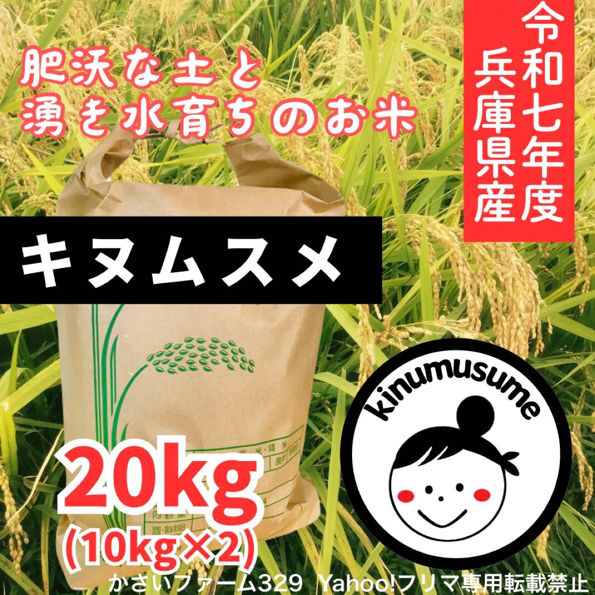 美味☆新米 兵庫県産キヌムスメ 20kg(10kg×2) 山の湧き水で育てた農家 