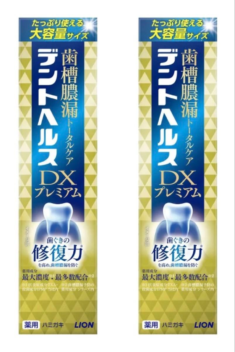 ライオン デントヘルスDX プレミアム 薬用ハミガキ 大容量 120g 2個 