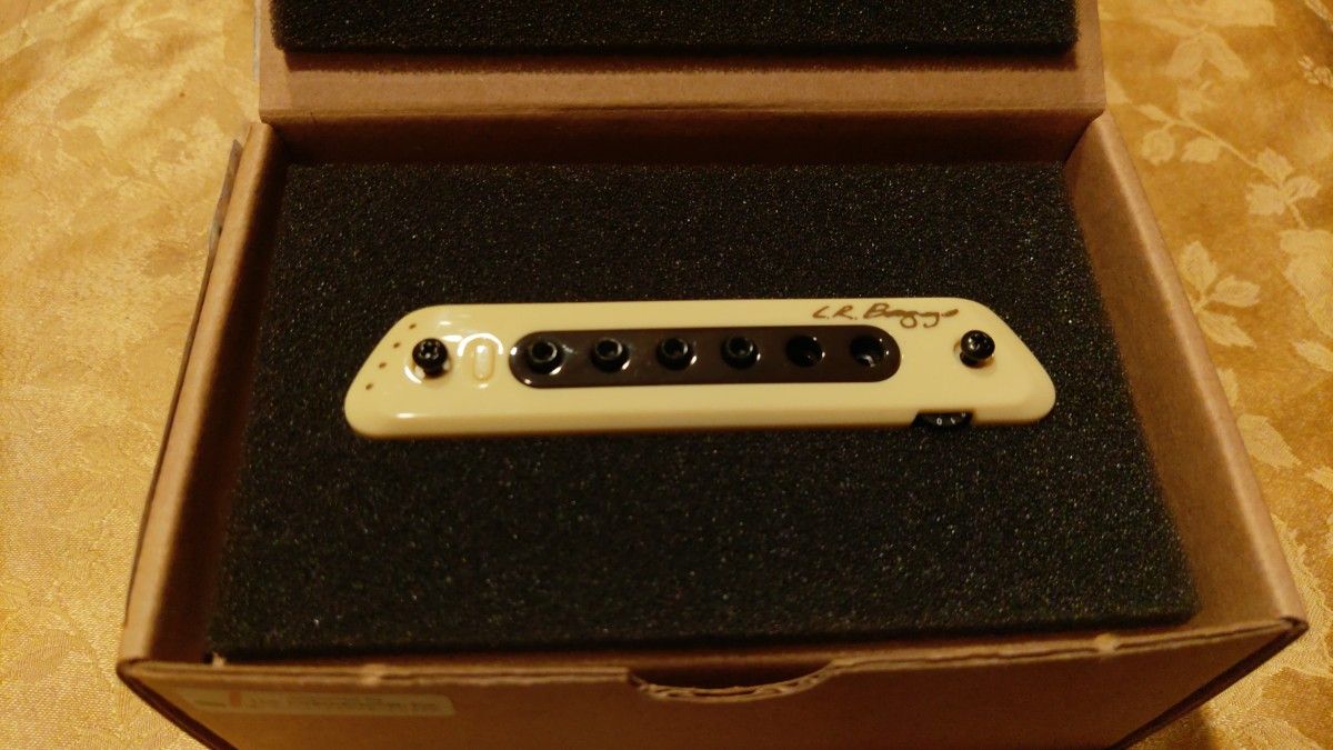 L.R.Baggs M80 アコースティックギター用ピックアップ | Shop at 
