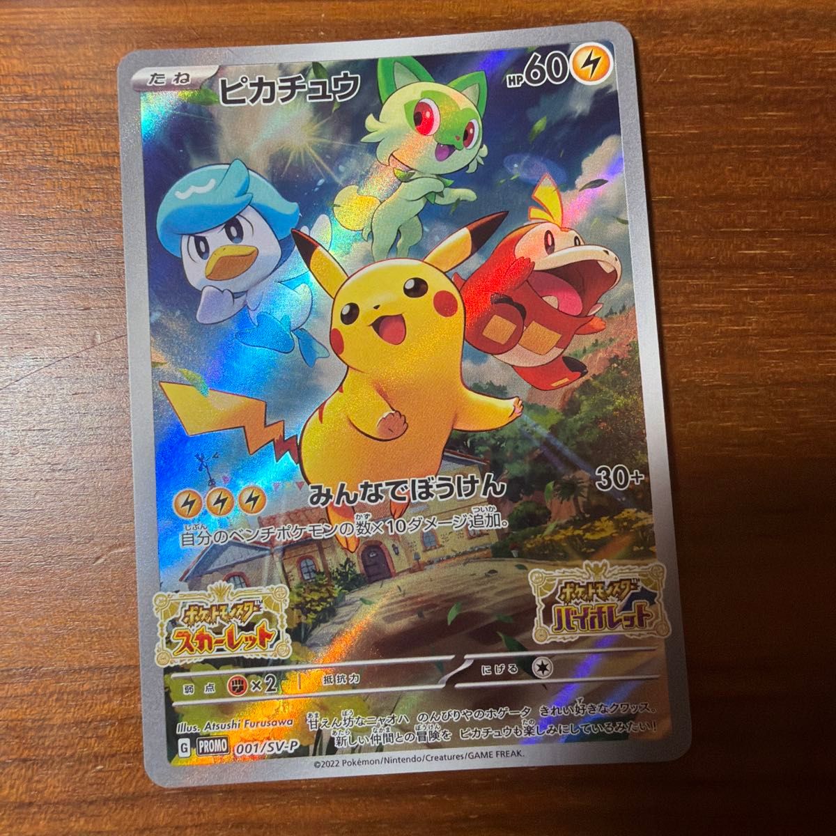 ポケモンカード ピカチュウ プロモ 001/SV-P みんなでぼうけん | Shop