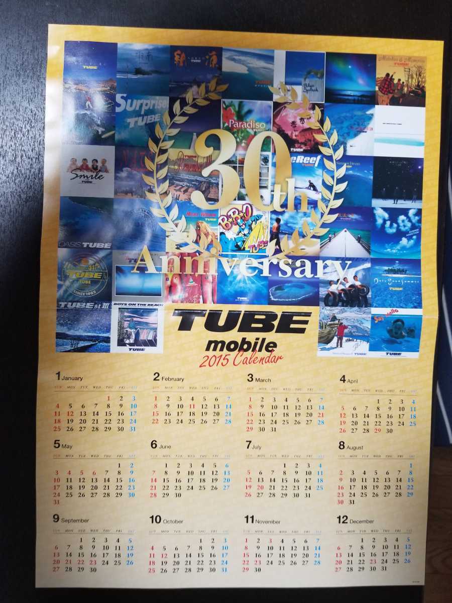 豪華 売れ筋がひ贈り物 TUBE 限定グッズ 30周年ポスターカレンダー2015年版 A3サイズ sannart.com sannart.com