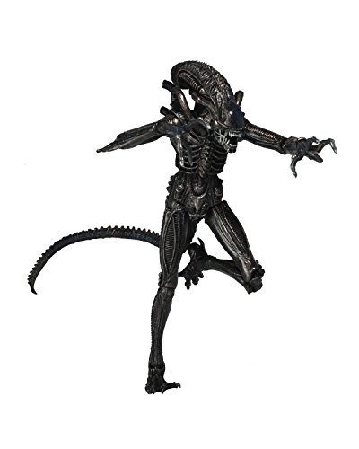 生まれのブランドで いいスタイル NECA Aliens 7 Scale Action Figure Series 5 Genocide Alien Black ianmatthewvoigts.com ianmatthewvoigts.com