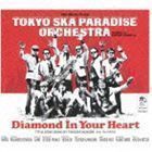 大人も着やすいシンプルファッション 本格派ま Diamond In Your Heart CD DVD 東京スカパラダイスオーケストラ bigportal.ba bigportal.ba