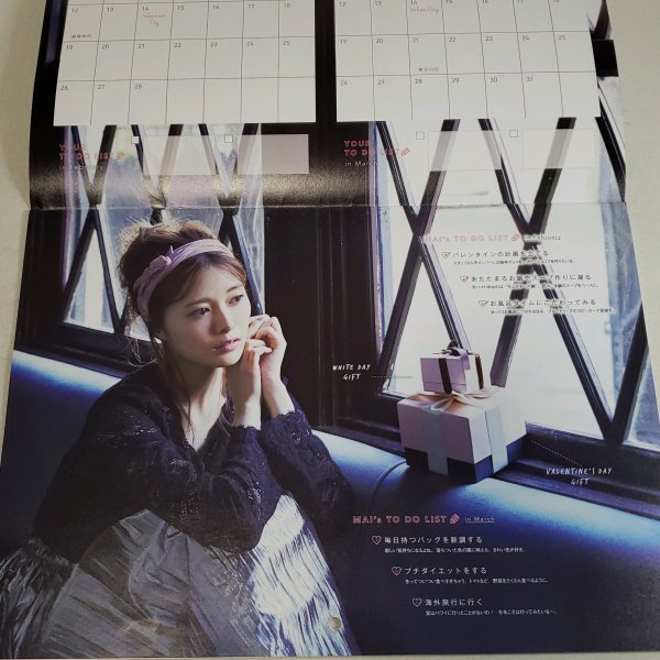 aa373-2018-ray-mai-calendear-46-20-buyee-buyee