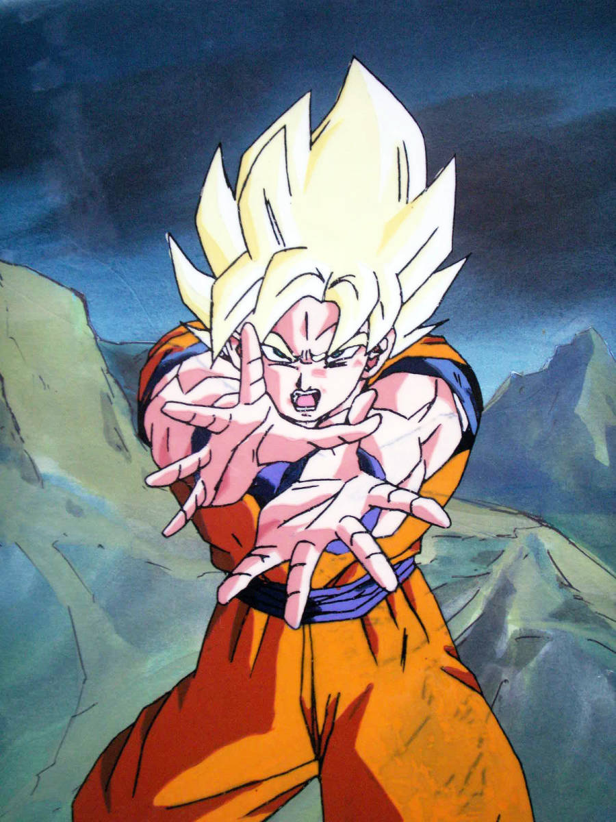 かめはめ波 ギャリック砲 ドラゴンボールZ 悟空&バーダック 親子