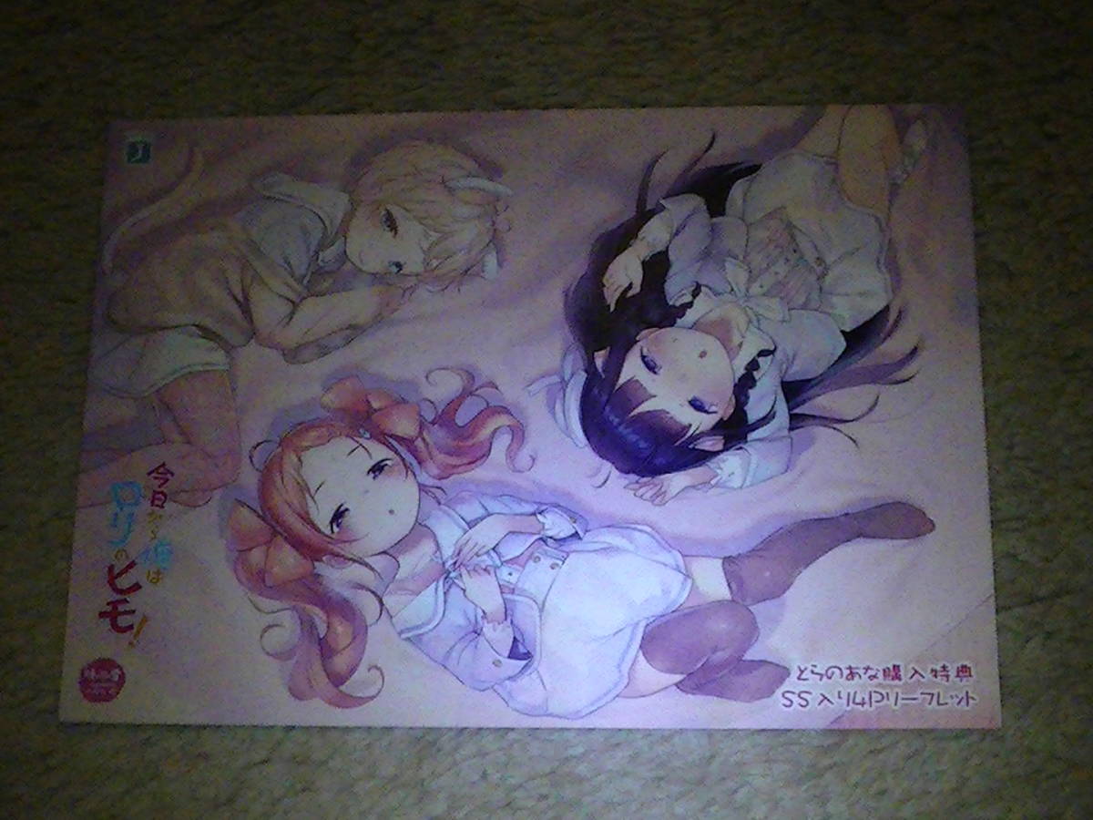 ロリチルDリーフレット