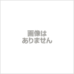 ◆高品質 期間限定キャンペーン ＢＬＵＥ ＢＩＲＤ 浜崎あゆみ bigportal.ba bigportal.ba
