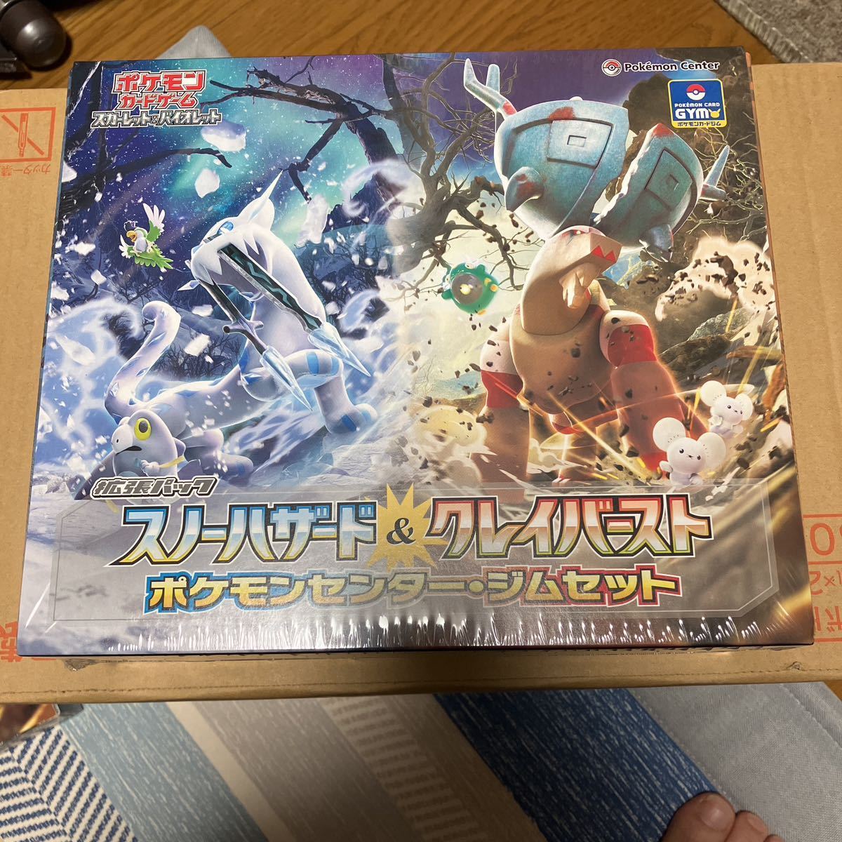 新品未開封 ポケモンカードゲーム ジムセット ナンジャモセット