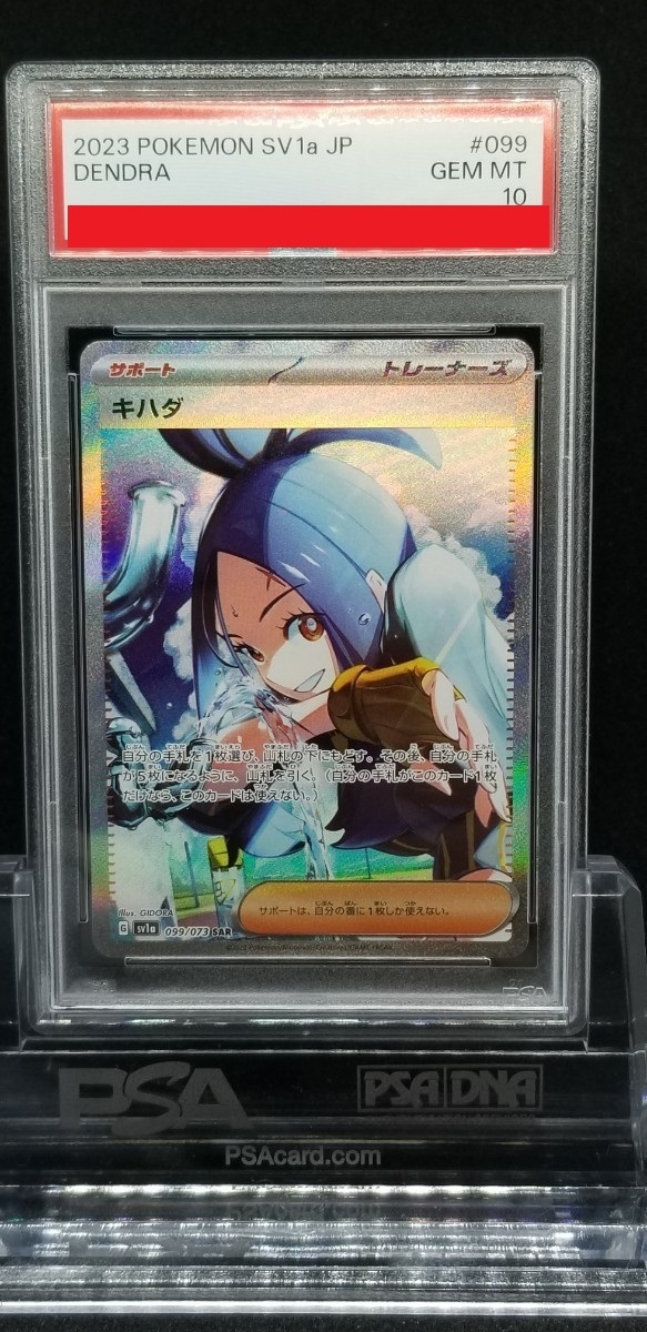 PSA10 キハダ SAR www.krzysztofbialy.com