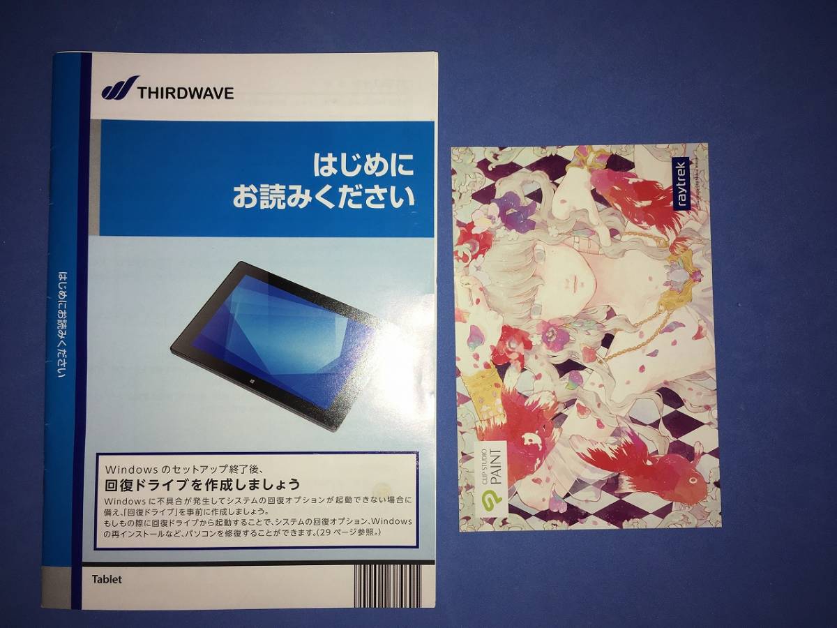 お絵かきペンタブレット サードウェーブraytrektab DG-D10IWP2 値下げ