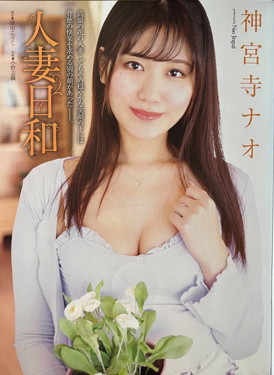 人妻日和～高嶺の花special～★未開封dvd付 2022年発行 保菅 F8 ～神宮寺ナオ 北条麻妃 加山なつ子 翔田千里 川上ゆう