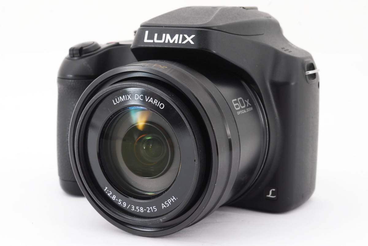 F20 / Panasonic LUMIX DC-FZ85 / 4927A-26-