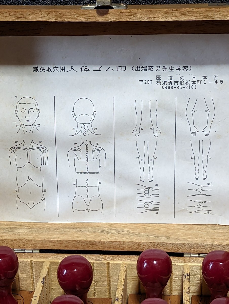 鍼灸用人体ゴム印（医道の日本社） Amazon.co.jp: 医道の日本社 カレッジ鍼灸模型 つぼ 経絡経穴