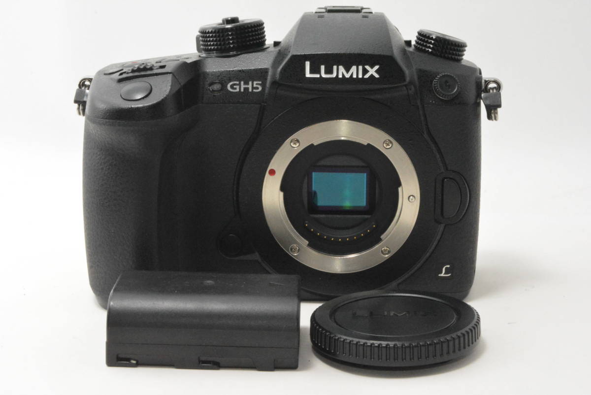 ☆超極上美品☆パナソニック PANASONIC LUMIX GH-5 ボディ /【Buyee