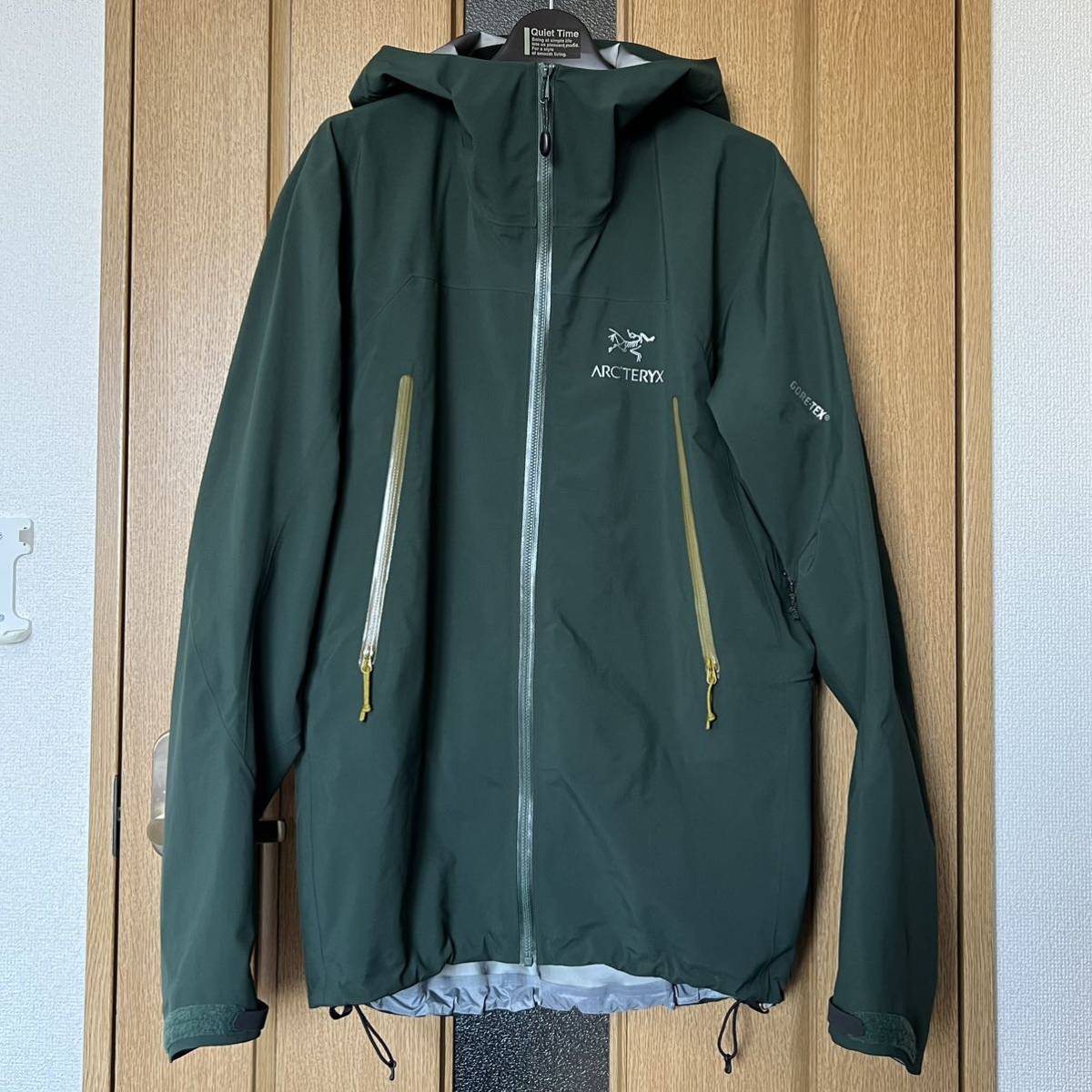 ARC'TERYX Zeta AR Jacket L グリーン アークテリクス ベータ AR ジャケット GORETEX マウンテンパーカ