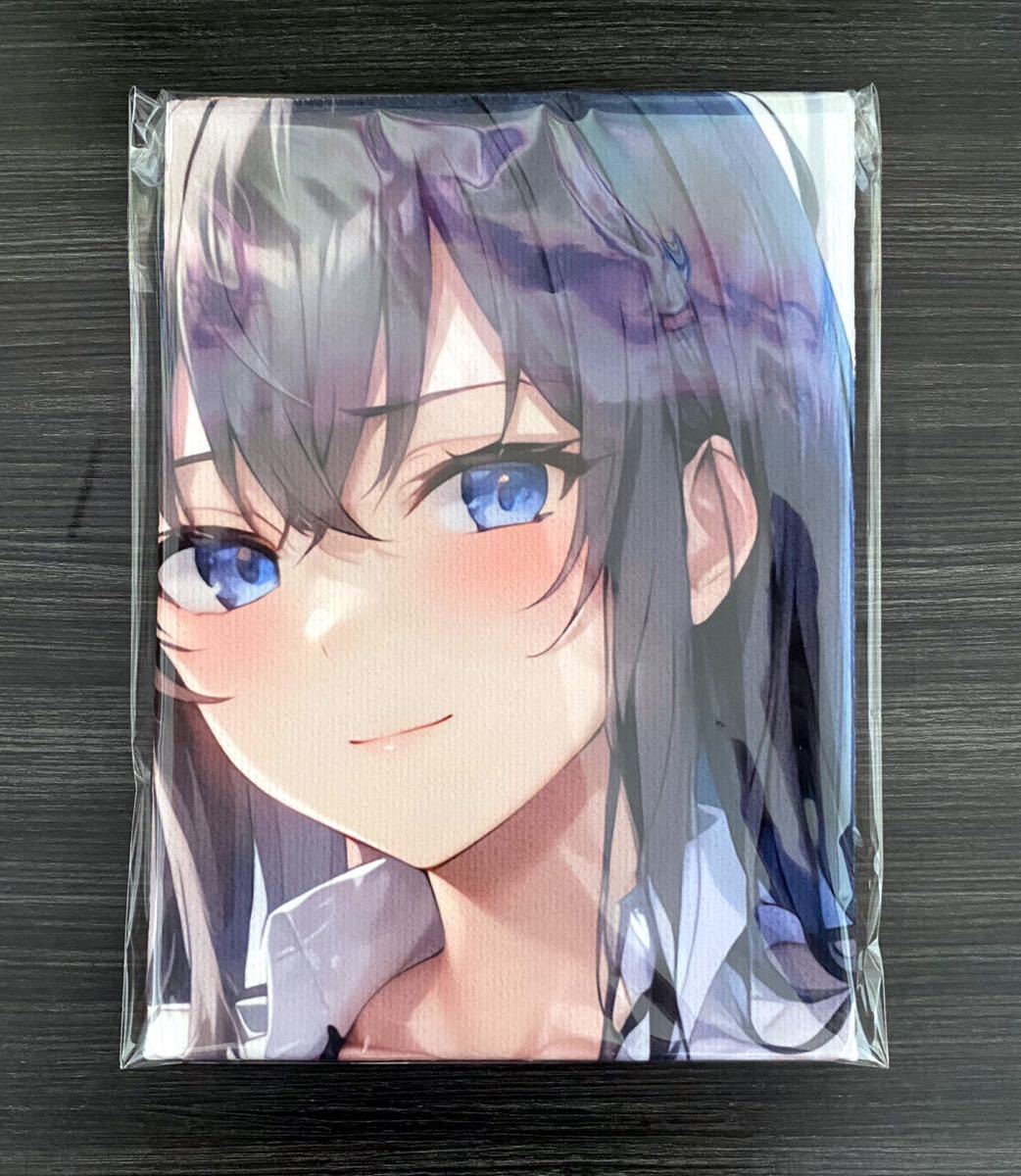 アリエータ・リュイス グローランサー2 うるし原智志 美少女イラスト