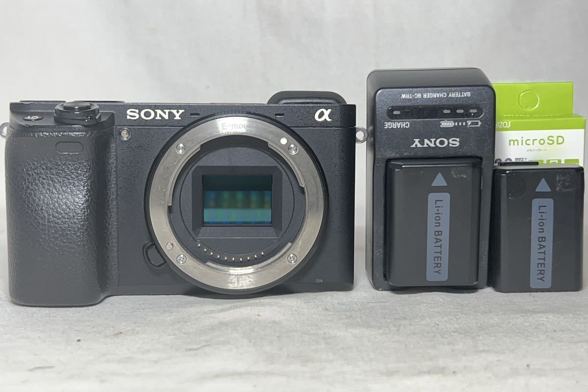 美品 SONY ソニー α6300 ILCE-6300 予備バッテリー付き-