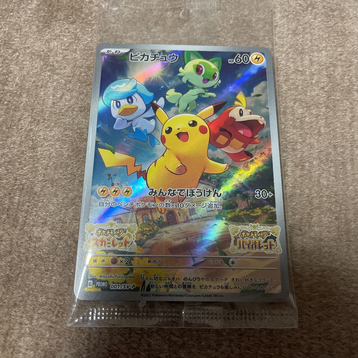 【新品未開封】ポケモン アートブック 早期購入特典 ポケットモンスター Pokémon LEGENDS Z-A」の店舗別の早期購入特典が公開！ポケモン