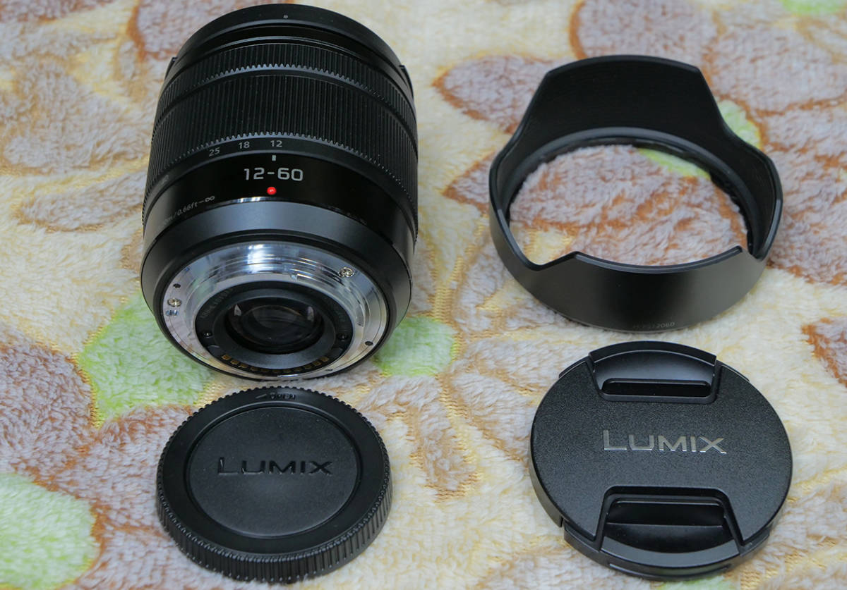 パナソニック LUMIX G VARIO12ｍｍ-60ｍｍF3.5-5.6ASPH OIS 極上美品A