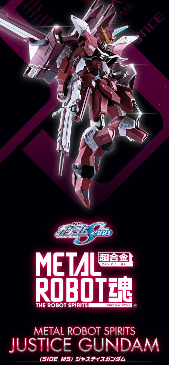 METAL ROBOT魂 ロボット魂 〈SIDE MS〉機動戦士ガンダムSEED