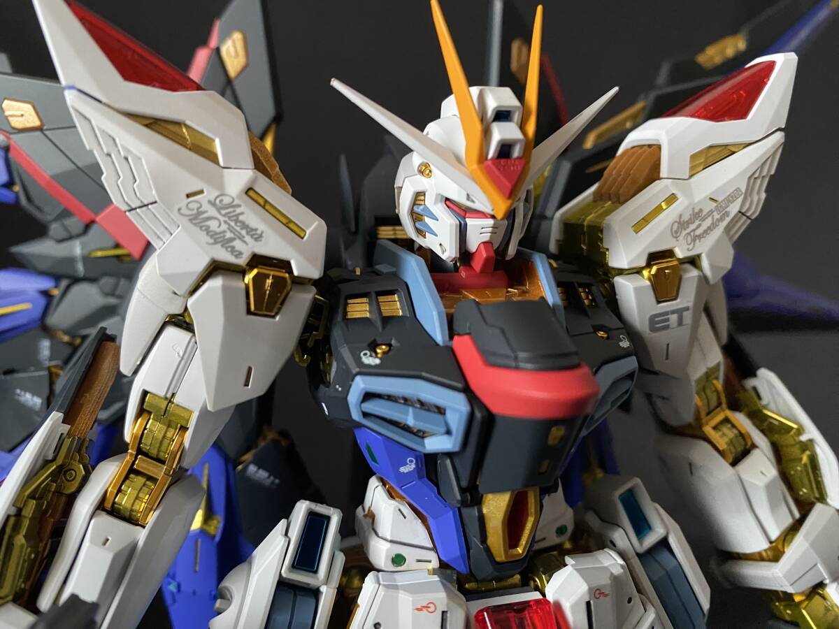 送料無料 MGEX ストライクフリーダムガンダム 塗装完成品 /【Buyee