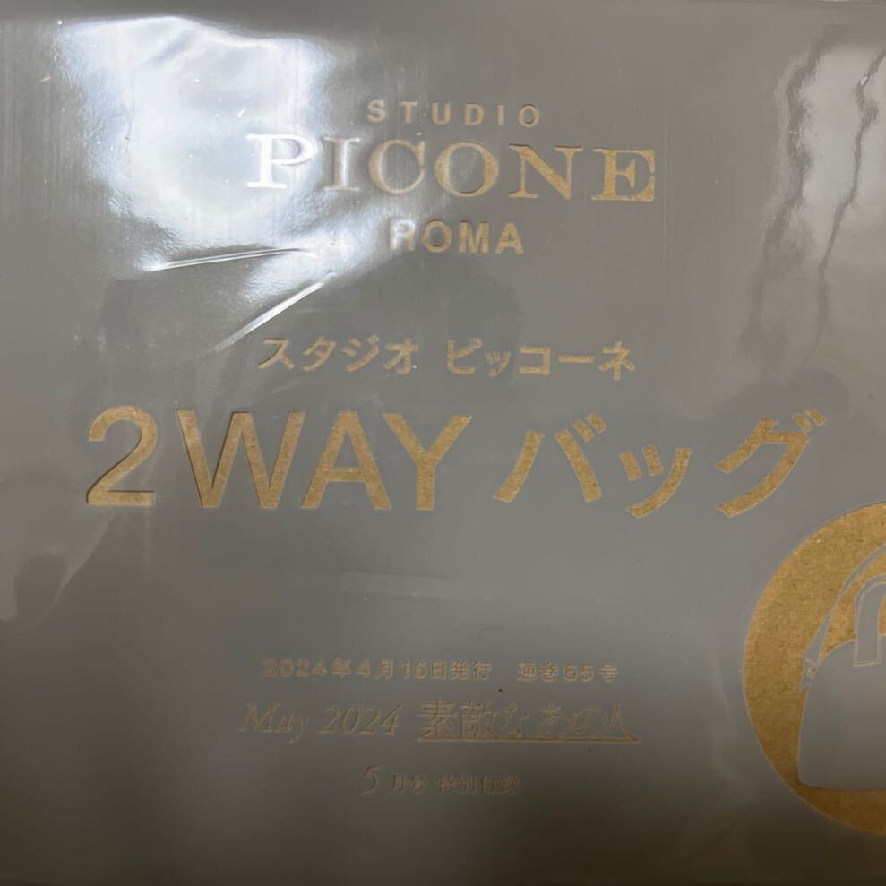 素敵なあの人 2024年 5月号 【付録】 STUDIO PICONE かまぼこ型2way