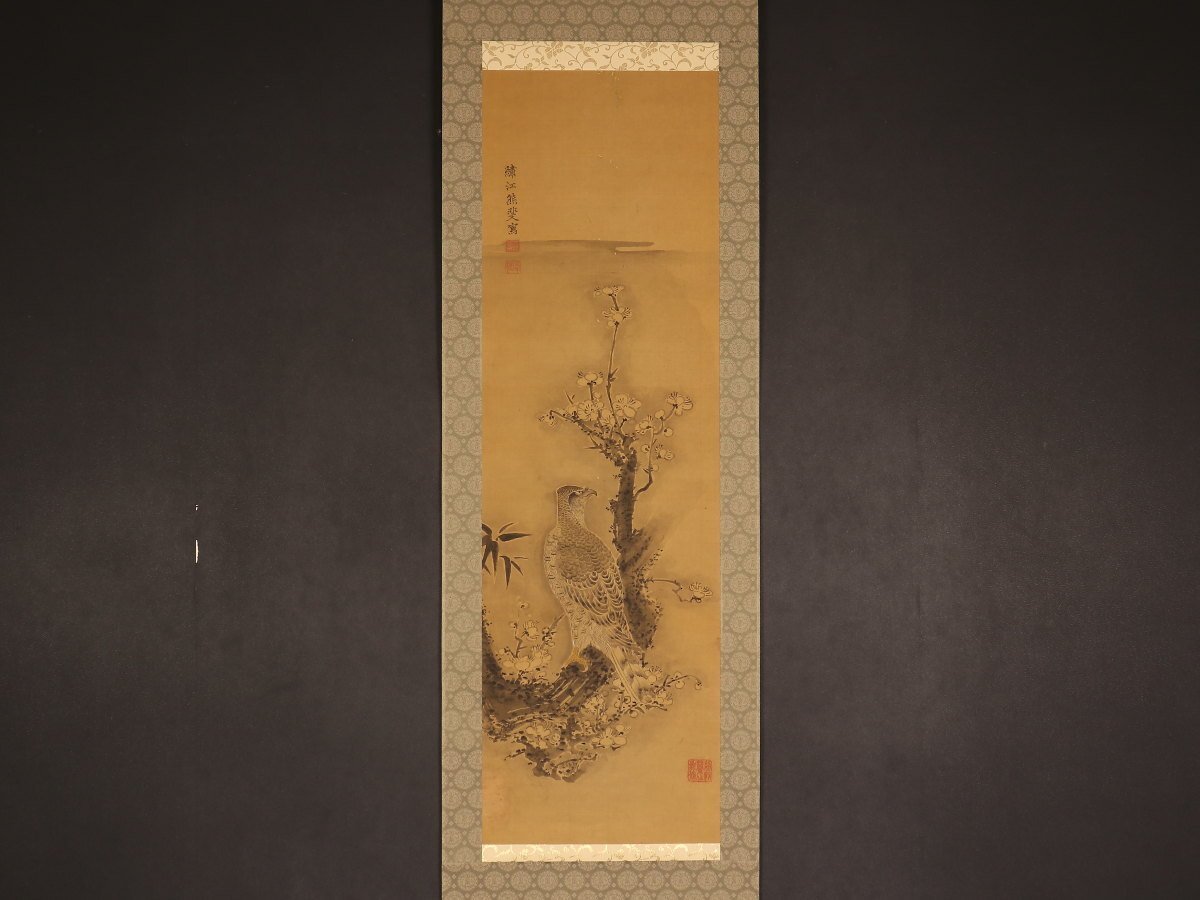 【模写】【伝来】cj4737〈熊代熊斐〉梅鷹図 沈南蘋師事 長崎の人 江戸時代中期 中国画 /【Buyee】 Buyee - Japanese ...